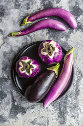 Various sorts of aubergines - SARF04044