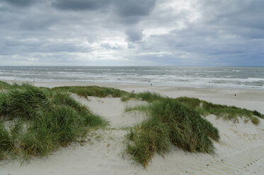 Dänemark, Jütland, Henne Strand, Dünen und Nordsee - UMF00865