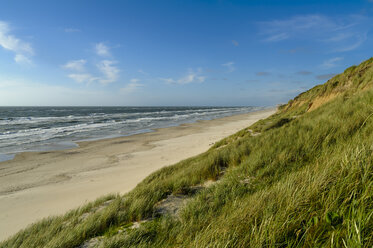 Dänemark, Jütland, Lokken, Dünenlandschaft und Nordsee - UMF00882