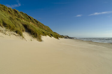 Dänemark, Jütland, Lokken, Düne und Strand - UMF00883