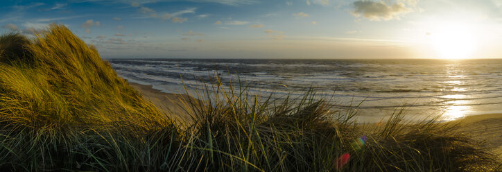 Dänemark, Jütland, Lokken, Dünenlandschaft und Nordsee - UMF00884