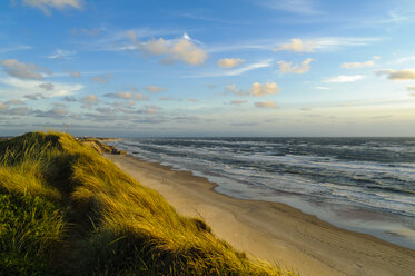 Denmark, Jutland, Lokken, dune landscape and North Sea - UMF00885