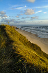 Denmark, Jutland, Lokken, dune landscape and North Sea - UMF00887