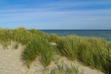 Denmark, Jutland, Skagen, Grenen, dune landscape - UMF00905