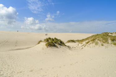 Denmark, Jutland, Rabjerg Mile shifting dune - UMF00908