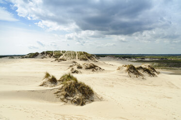 Dänemark, Jütland, Wanderdüne Rabjerg Mile - UMF00911