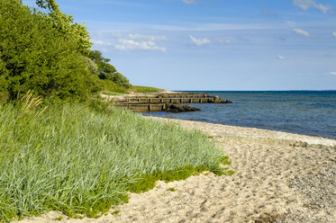 Dänemark, Jütland, Sonderborg, Strand in der Bucht von Sonderborg - UMF00920