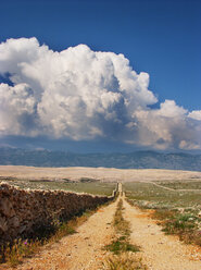 Kroatien, Kvarner-Golf, Insel Pag, Karstlandschaft, Steinmauer - WWF04809