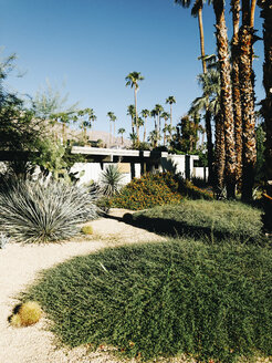 USA, Palm Springs, Garten vor moderner Architektur aus der Mitte des Jahrhunderts - JUBF00309