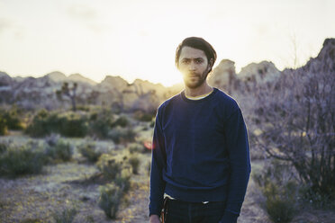 Man standing at sunset in Joshua Tree National Park, USA - FOLF09609