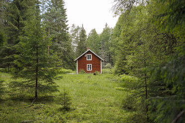 Hütte im Wald in Ostergotland, Schweden - FOLF09628
