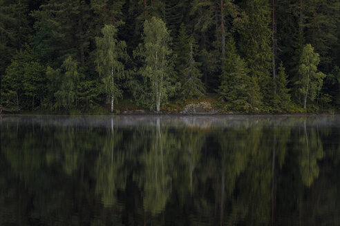 Fluss und Bäume in Ostergotland, Schweden - FOLF09630