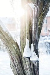 Schlittschuhe hängen an einem Baum in Enskede, Schweden - FOLF09658