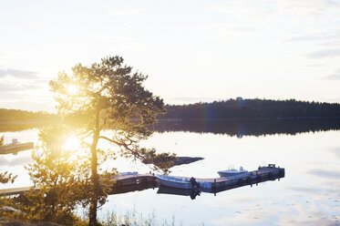 Baum am Hafen bei Sonnenuntergang in Aspo, Schweden - FOLF09662