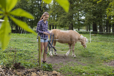 Landarbeiter hält Seil neben einem Pony - FOLF09741