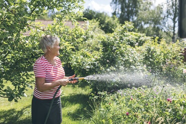 Ältere Frau bewässert Garten mit Schlauch - FOLF09765