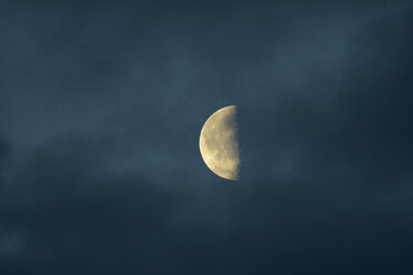 Half moon at night in Sweden - FOLF09813
