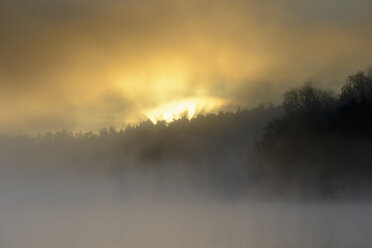 Sun setting behind a hill in Lidingo, Sweden - FOLF09814