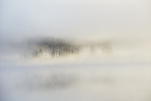 Ein nebliger See bei Sonnenaufgang in Lidingo, Schweden - FOLF09815