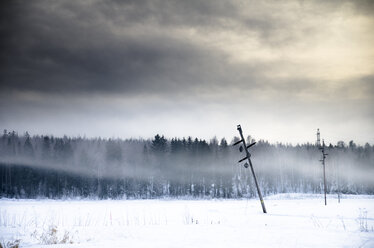 Abgebrochene Stromleitungen am Waldrand im Winter in Vantaa, Finnland - FOLF09868