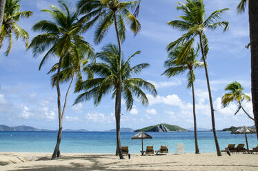 Liegestühle und ein Sonnenschirm unter Palmen auf Peter Island in der Karibik - FOLF09881