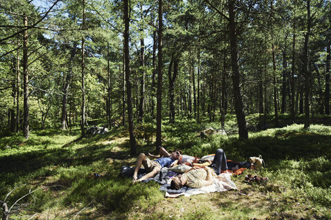 Junge Männer liegen in einem Wald in Djurgarden, Schweden, lizenzfreies Stockfoto