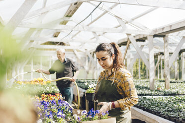 Zwei Mitarbeiter eines Gartencenters kontrollieren und gießen Pflanzen - FOLF09960