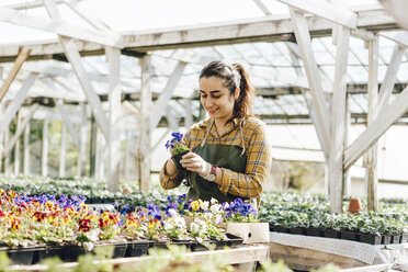 Gartencenter-Mitarbeiter kontrolliert Pflanzen - FOLF09961