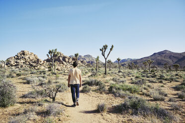 Mittlerer erwachsener Mann beim Spaziergang im Joshua Tree National Park, USA - FOLF10124