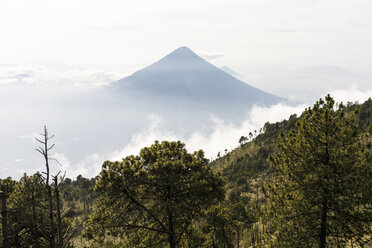 Vulkan de Fuego in Acatenango, Guatemala - FOLF10148