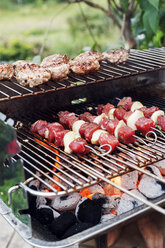 Meat and skewers on a barbeque grill - FOLF10183