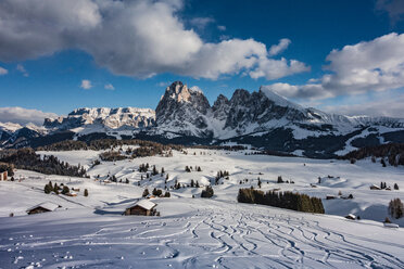 Seiser Alm, Seiser Alm, Dolomiten - CUF46628