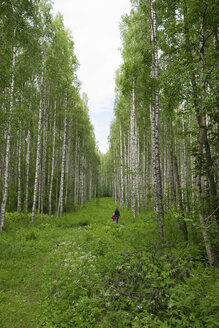 Finnland, Kuopio, Mutter und Tochter spazieren in einem Birkenwald - PSIF00204