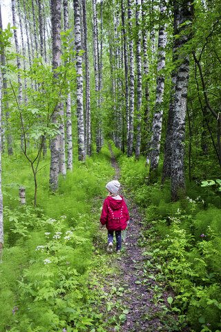 Finnland, Kuopio, Mädchen geht in einem Birkenwald spazieren, lizenzfreies Stockfoto