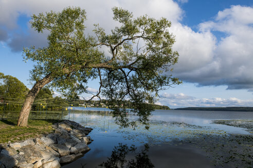 Schweden, Sigtuna, Park am Malaren-See - RUNF00955