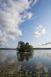 Schweden, Sigtuna, Malaren See, kleine Insel mit Bäumen am Abend - RUNF00956