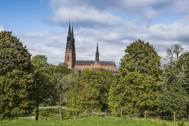 Schweden, Uppsala, Dom zu Uppsala - RUNF00960