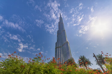 United Arab Emirates, Dubai, - SMAF01166