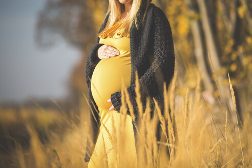 Nahaufnahme einer schwangeren Frau in der Natur im Herbst - ASCF00929