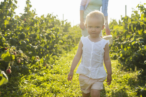 Porträt eines kleinen Mädchens, das mit seiner Mutter im Sommer Beeren pflückt, lizenzfreies Stockfoto