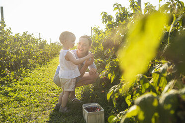 Glückliche Mutter und kleine Tochter beim Beerenpflücken im Sommer - DIGF05596
