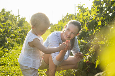 Mother and little daughter picking berries together in summer - DIGF05597