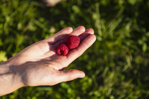 Zwei Himbeeren auf der Hand einer Frau, lizenzfreies Stockfoto