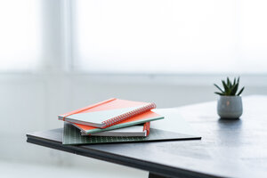 Stapel von Notizbüchern und Topfpflanze auf einem Tisch - AFVF02210