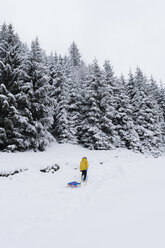 Austria, Tyrol, Thurn, back view of woman pulling sledge in snow-covered landscape - PSIF00210