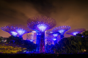 Singapur, Marina Bay, Gardens by the Bay, Superbäume bei Nacht - SMAF01177