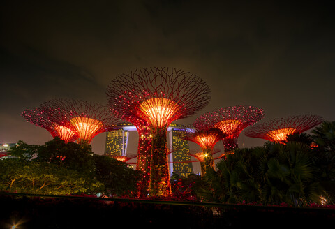 Singapur, Marina Bay, Gardens by the Bay, Superbäume bei Nacht, lizenzfreies Stockfoto