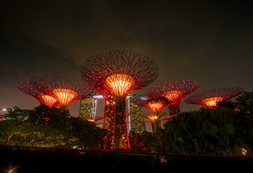 Singapur, Marina Bay, Gardens by the Bay, Superbäume bei Nacht - SMAF01178