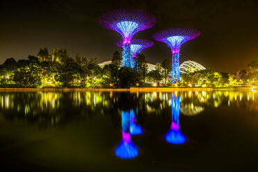 Singapur, Marina Bay, Gardens by the Bay, Superbäume bei Nacht - SMAF01199