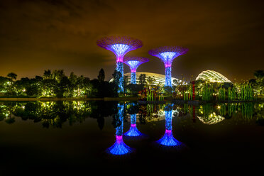 Singapore, Marina Bay, Gardens by the Bay, Super trees at night - SMAF01202